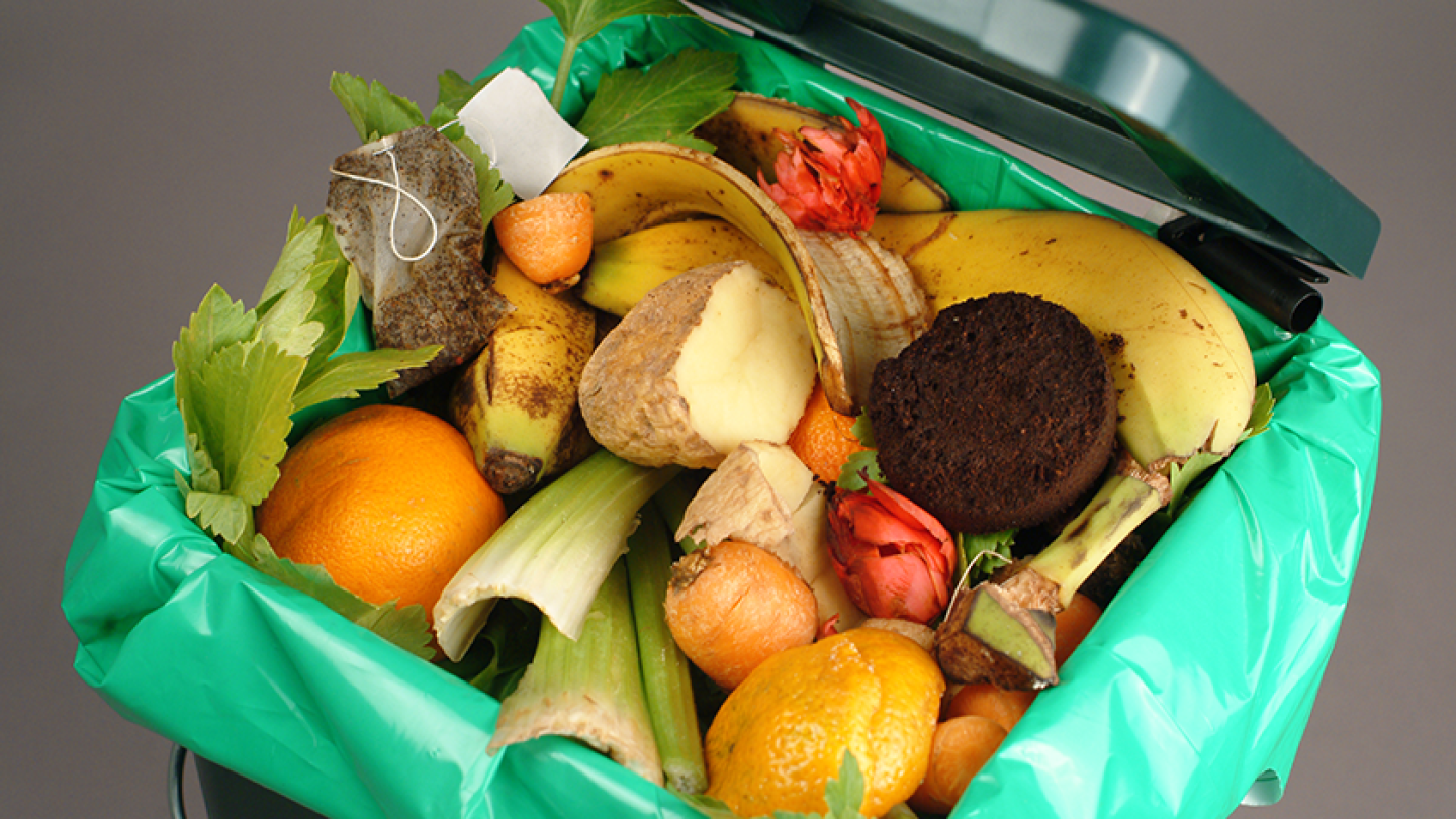 Food-date labels cause confusion and food waste, report says
